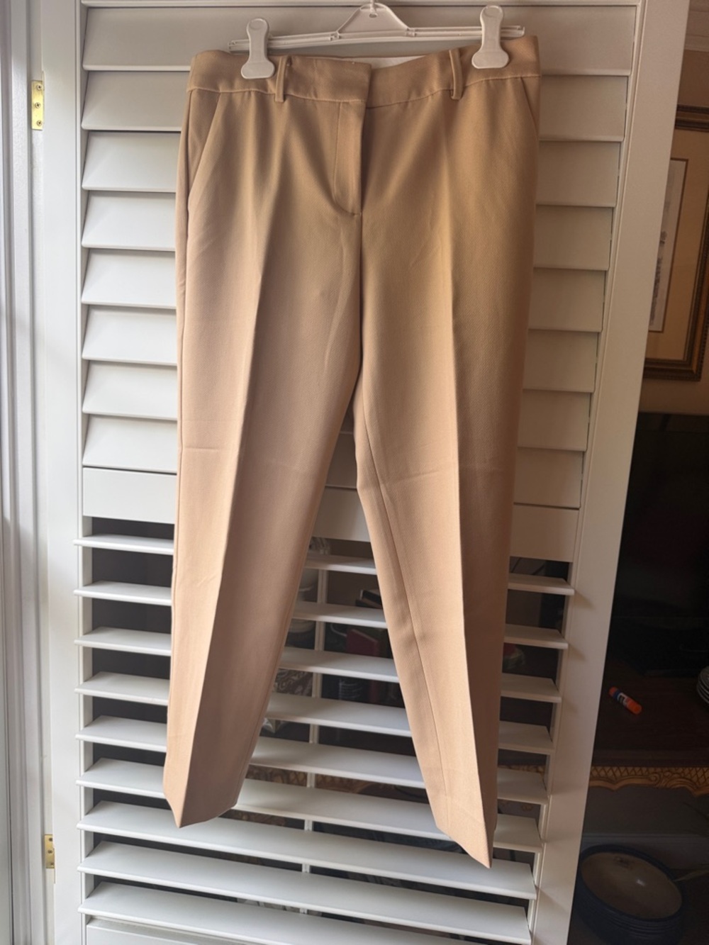 Tailored Women's Dress Pants in Beige
